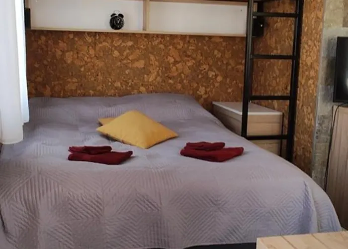 студио нико -