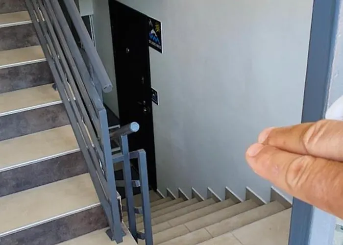 студио нико -