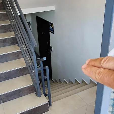 студио нико -