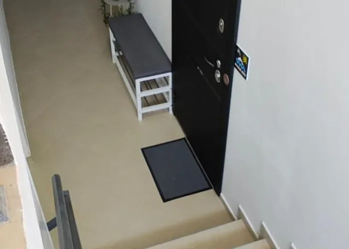 студио нико - 사레보